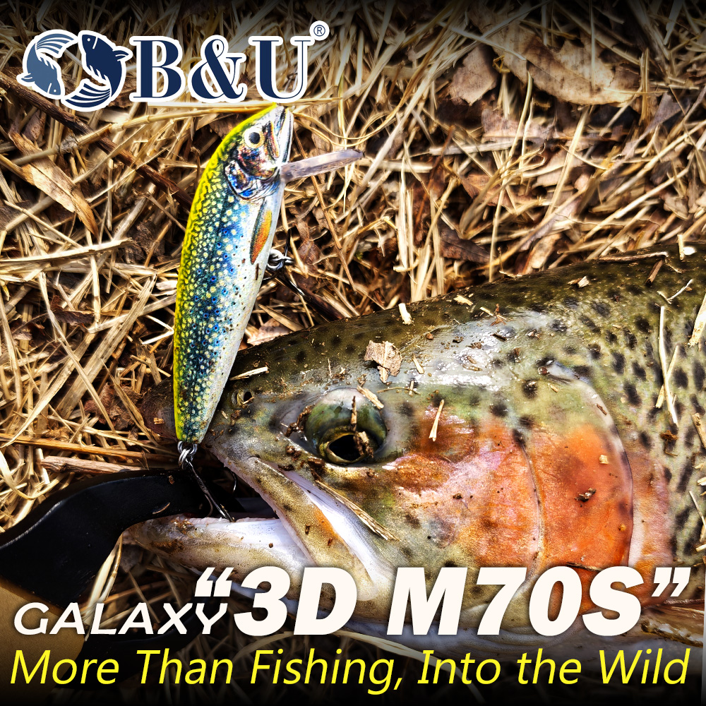 B&U Fishing Lures Sinking Minn - Trout Fishing Lure recensie en prijs