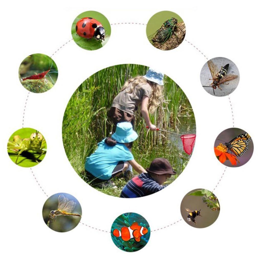 Telescopic Kids Fishing Net Fo - Landing Net Telescopic recensie en prijs