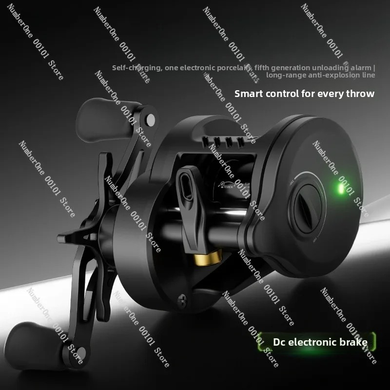 Electronic Magnetic Brake Fish - Electric Fishing Reel recensie en prijs